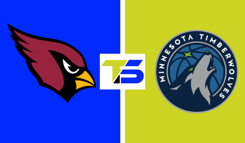 arizona cardinals vs minnesota vikings match player stats