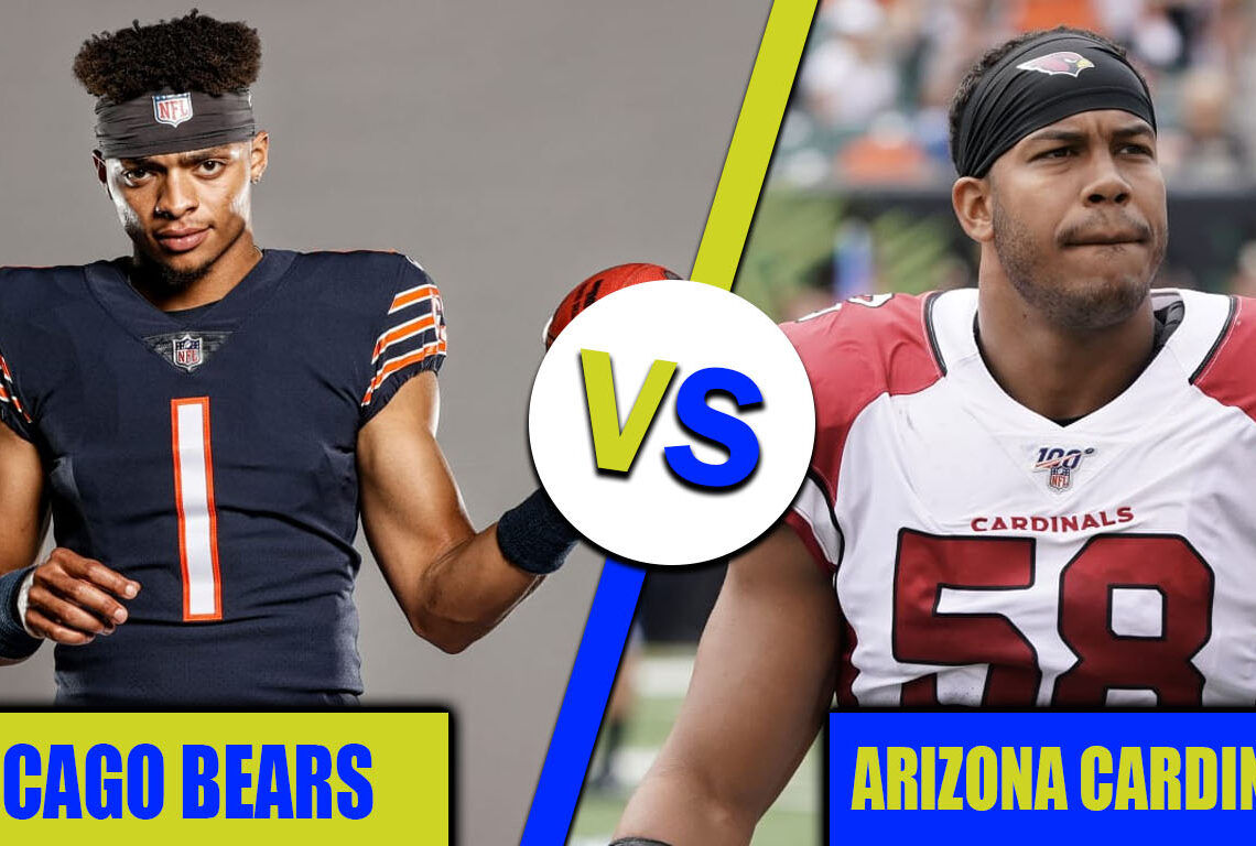 chicago bears vs arizona cardinals match player stats